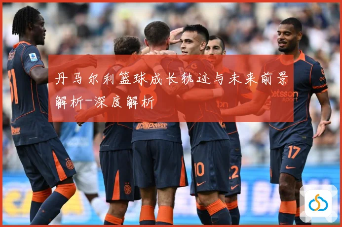 丹马尔利篮球成长轨迹与未来前景解析-深度解析